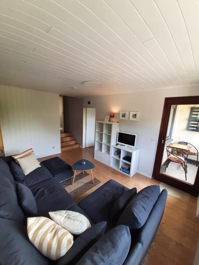 Familien Ferienwohnung Harzer Schöllchen Sankt Andreasberg Exterior foto