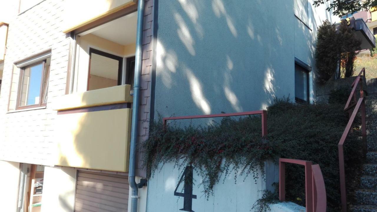 Familien Ferienwohnung Harzer Schöllchen Sankt Andreasberg Exterior foto