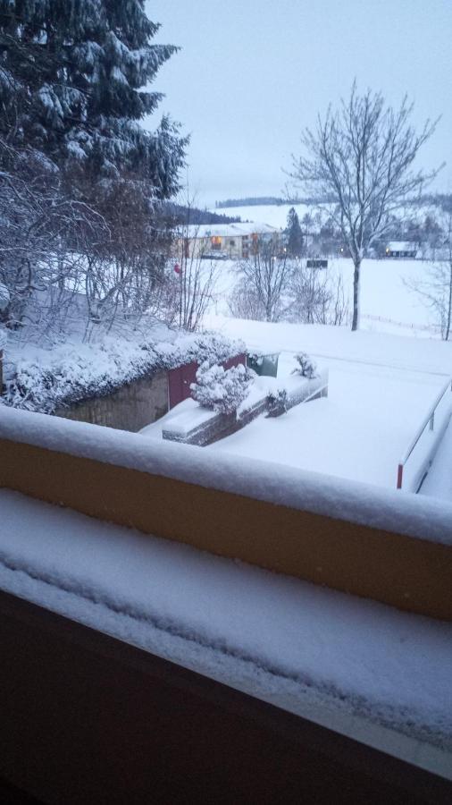 Familien Ferienwohnung Harzer Schöllchen Sankt Andreasberg Exterior foto